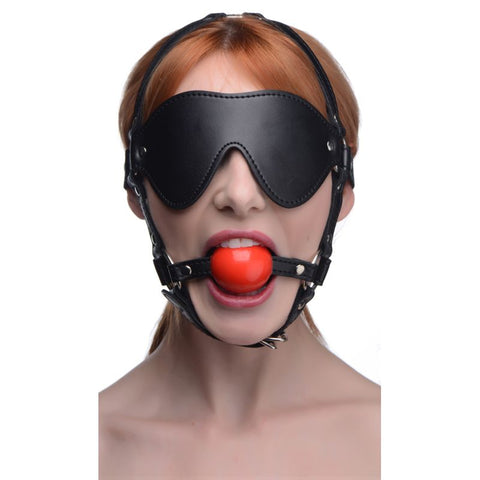Blindfold Harness w Ball Gag Black