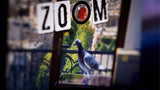 Crime Zoom Case 2 - Bird of Ill Omen
