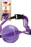 Ball Gag Sex Toy Adult Pleasure Bondage (Purple)