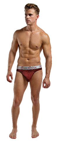 Male Power Panel Thong