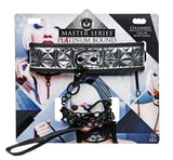 Platinum Bound Chained Collar And Leash