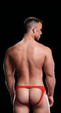 Low Rise Moonshine Brief Red