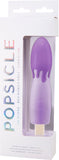 Silicone Rechargeable Vibrators (Purple) Sex Adult Pleasure Orgasm