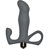 Vibrating P-Massager (Slate) Sex Toy Adult Pleasure