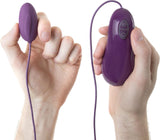 BNAUGHTY Deluxe Multi Function Vibrator pleasure Sex Toy by Bswish (Royal Purple)