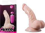 Vibrating Dong W/ Rechargeable Controller - 6" (Flesh)