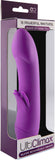 Silicone Rechargeable Vibrator Tickler (Purple) Sex Adult Pleasure Orgasm
