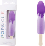 Silicone Rechargeable Vibrators (Purple) Sex Adult Pleasure Orgasm