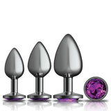 Cheeky Charms Round Metal Butt Plug Gunmetal 3 Pc Kit w Purple Jewel