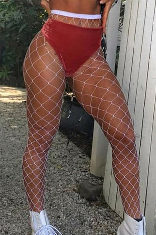 White Fence Net Pantyhose (One Size)
