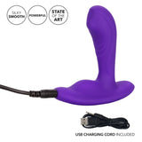 Silicone Remote Pinpoint Pleaser Sex Toy Vibrator Adult Orgasm (Purple)